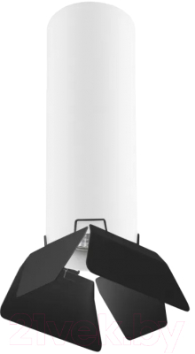 

Точечный светильник Lightstar, Rullo R496437