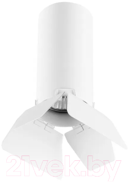 Точечный светильник Lightstar Rullo R486436