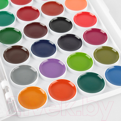 Акварельные краски Darvish DV-13102 (32цв)