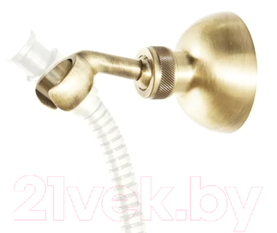 

Душевой кронштейн Caprigo, 99-150-oro