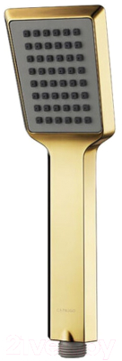 

Лейка ручного душа Caprigo, 50-160-oro