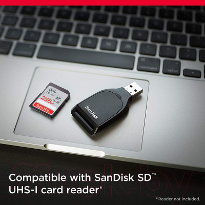 Карта памяти SanDisk Ultra 256GB (SDSDUN4-256G-GN6IN)