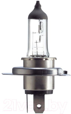 Автомобильная лампа Bosch 1987301040