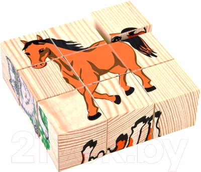 

Развивающая игрушка Томик, Кубики. Домашние животные 4444-3