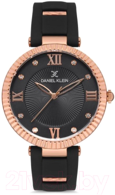 

Часы наручные женские Daniel Klein, 12646-3