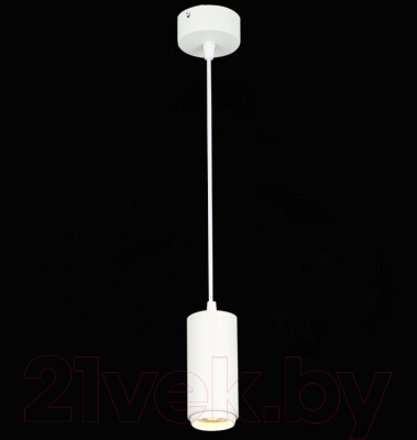 Потолочный светильник ST Luce Zoom ST600.533.10
