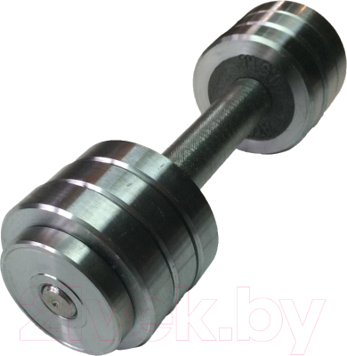 

Гантель разборная Атлант Спорт, Серебристый, ГА-4