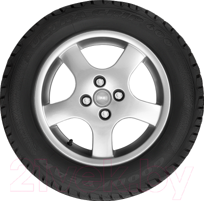 Зимняя шина Goodyear UltraGrip 600 205/60R16 96T (шипы)