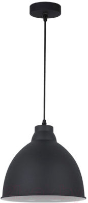 

Потолочный светильник Arte Lamp, Casato A2055SP-1BK