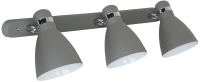 

Спот Arte Lamp, Mercoled Grigio A5049PL-3GY