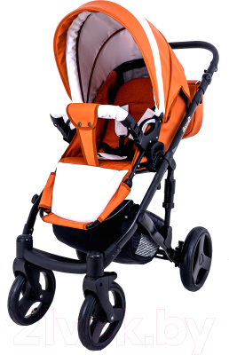 Детская универсальная коляска Ray Corsa Ecco 2 в 1 с переноской (24/кожа/оранжевый/белый)