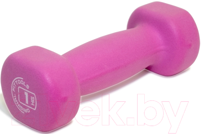 

Гантель Original FitTools, Сиреневый, Oft / DB-1