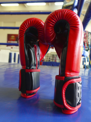Боксерские перчатки Everlast D107 10oz (черный/красный)