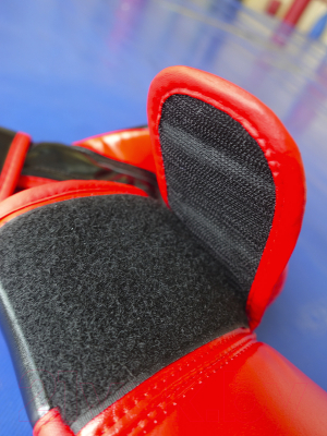 Боксерские перчатки Everlast D107 10oz (черный/красный)