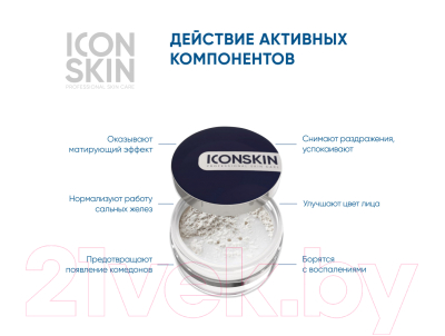 Пудра рассыпчатая Icon Skin Re:Program Sebum Lock Минерально-растительная себостатическая (10г)