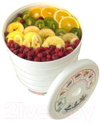 Сушилка для овощей и фруктов Evgo DVN31-500/5