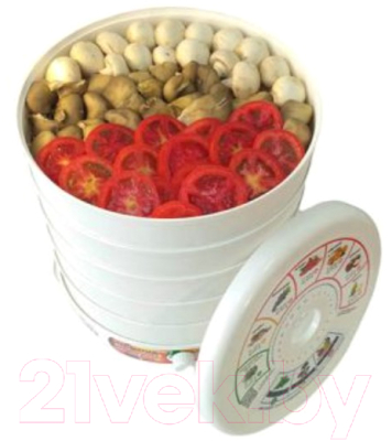 Сушилка для овощей и фруктов Evgo DVN31-500/5