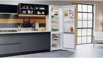 Изображение товара Холодильник с морозильником Hotpoint-Ariston HTS 4200 W