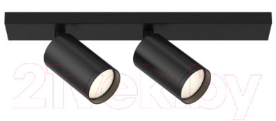 

Спот Maytoni, Focus S C051CL-2B