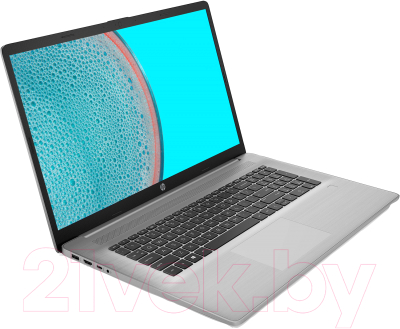 Ноутбук HP ProBook 470 G8 (3S8S2EA)