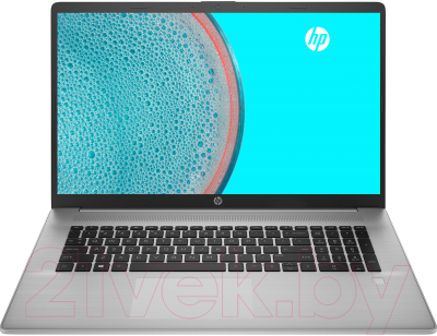 Ноутбук HP ProBook 470 G8 (3S8S2EA)