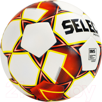 Футбольный мяч Select Pioneer TB / 810221-274 (размер 5)