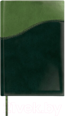 Ежедневник Brauberg Bond / 126219 (зеленый/салатовый)