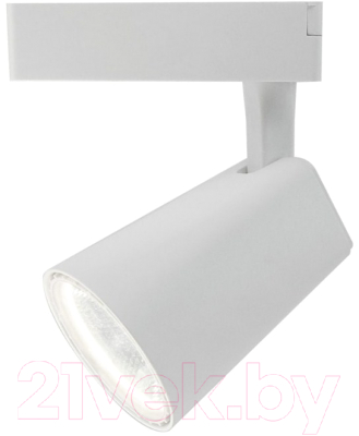 

Трековый светильник Arte Lamp, Amico Grande A1830PL-1WH