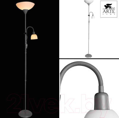 Торшер Arte Lamp Duetto A9569PN-2SI