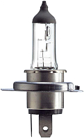 Автомобильная лампа Bosch 1987302042 - 