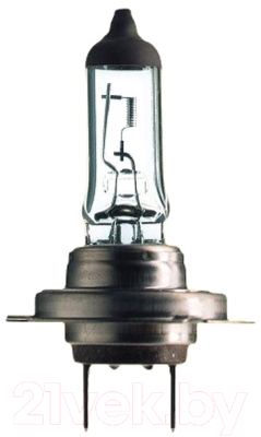 Автомобильная лампа Bosch 1987302079