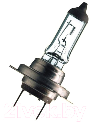 Автомобильная лампа Bosch 1987302079