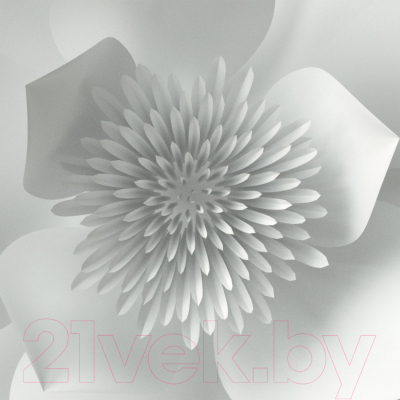 Фотообои листовые Citydecor Цветы модерн 3D (200x140)