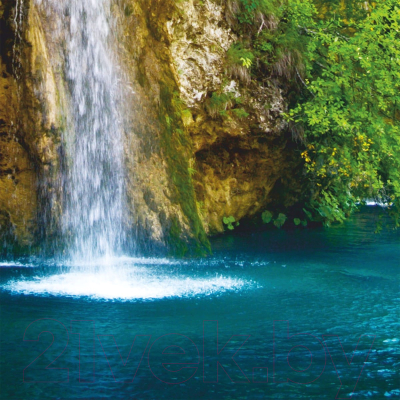 Фотообои листовые Citydecor Тропический водопад (300x150)