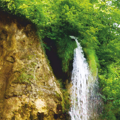 Фотообои листовые Citydecor Тропический водопад (300x150)