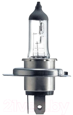 Автомобильная лампа Bosch 1987302441