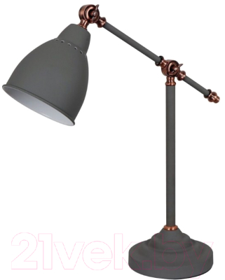 Настольная лампа Arte Lamp Braccio A2054LT-1GY