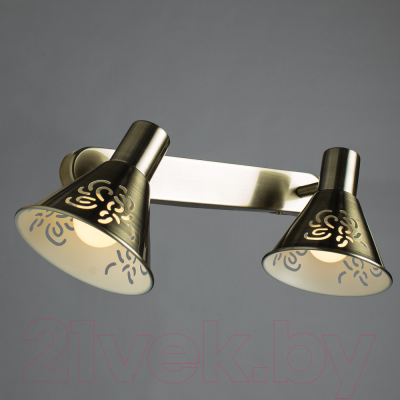 Спот Arte Lamp Cono Bronze A5218AP-2AB