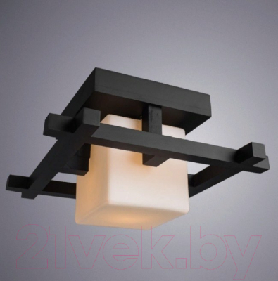 Потолочный светильник Arte Lamp Woods A8252PL-1CK