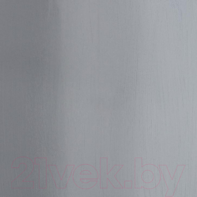 Акриловая краска Невская палитра Ладога №10 / 2204814 (46мл, серый)