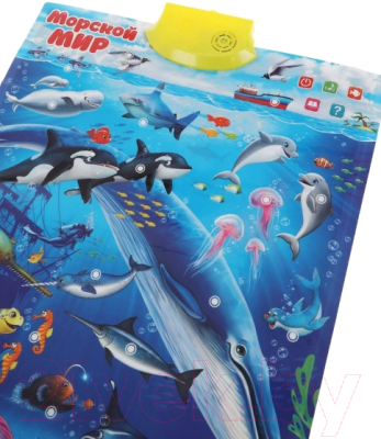 Развивающий плакат Наша игрушка Морской мир / 636231