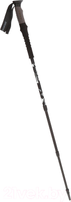 Трекинговые палки VikinG Nelio Pro 610/22/2960-09 (черный/серый)