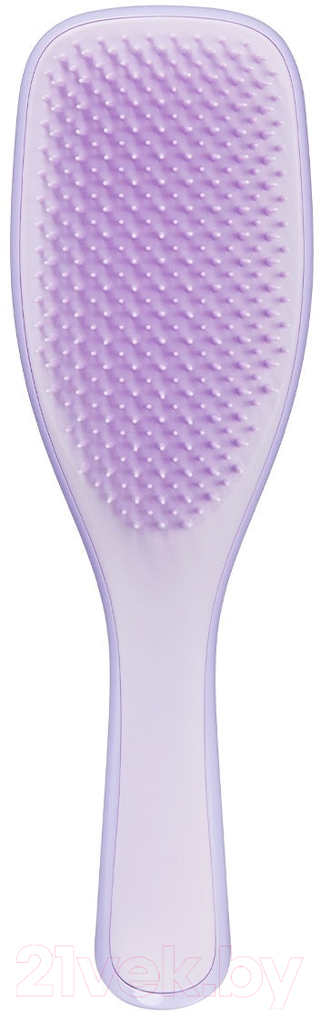 Расческа Tangle Teezer The Wet Detangler Fine & Fragile Hypnotic Heather