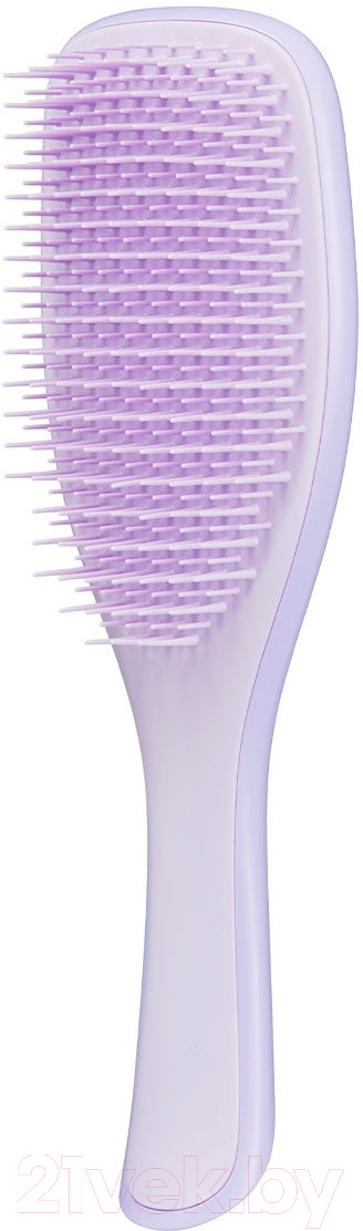 Расческа Tangle Teezer The Wet Detangler Fine & Fragile Hypnotic Heather