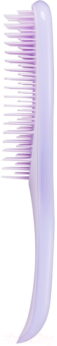 Расческа Tangle Teezer The Wet Detangler Fine & Fragile Hypnotic Heather