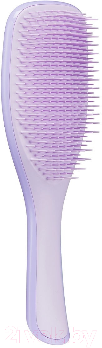 Расческа Tangle Teezer The Wet Detangler Fine & Fragile Hypnotic Heather