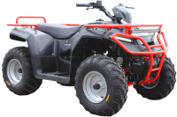 Квадроцикл Irbis Motors ATV 250 (красный) - 