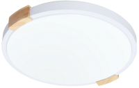 

Потолочный светильник Arte Lamp, Jersey A2684PL-72WH