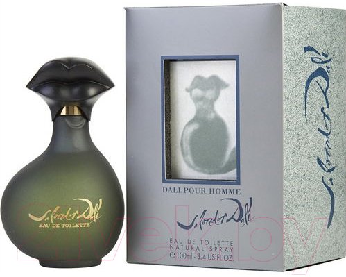 Туалетная вода Salvador Dali Pour Homme (100мл) — фото 2