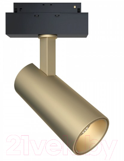 Трековый светильник Maytoni Focus TR019-2-15W3K-MG